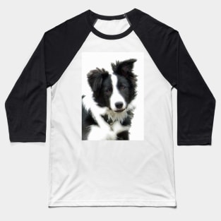 Border Collie Puppy - Ty Baseball T-Shirt